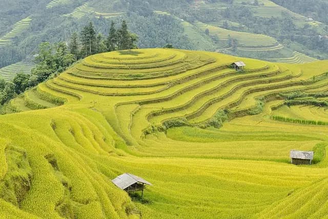 Les avantages du slow travel pour un voyage international réussi