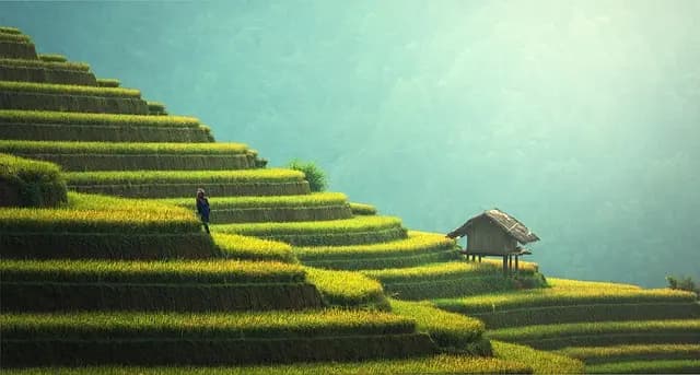 Les meilleures pratiques pour voyager de manière responsable