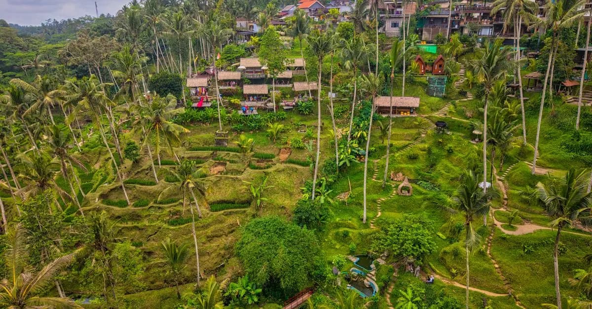 Les meilleures destinations pour le voyageur écoresponsable