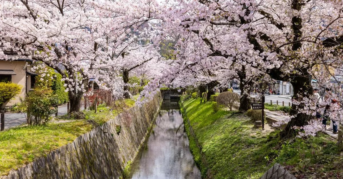 Les meilleures destinations pour un voyage international en solo