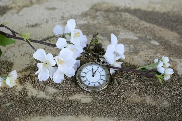 Comment gérer le décalage horaire lors de vos voyages internationaux