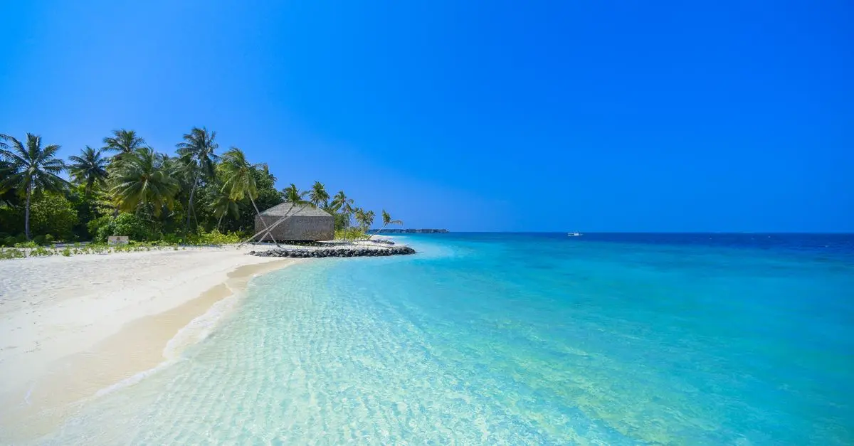 Destinations tropicales : 7 lieux paradisiaques à découvrir