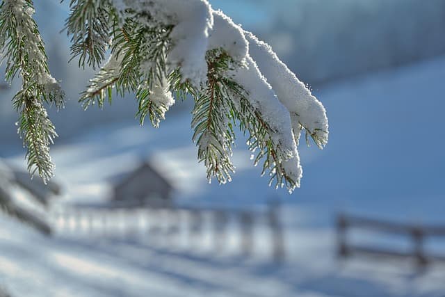 Les meilleures destinations d'hiver pour un voyage international